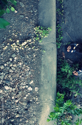 Wallpaper Mural 淡い色で撮影した植物 Torontodigital.ca