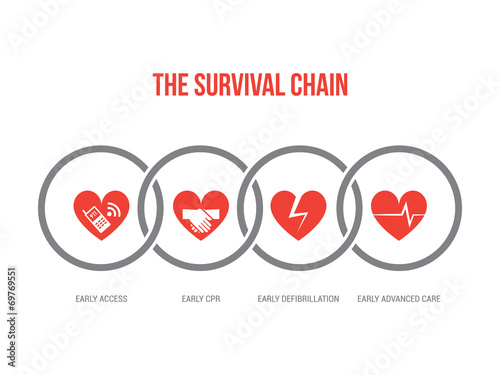 The survival chain