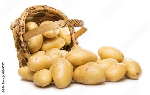 Patatas nuevas photo