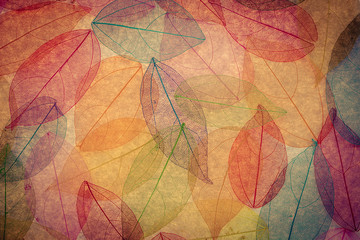 Autumn background
