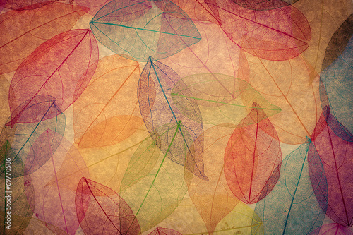 Fényképezés Autumn background