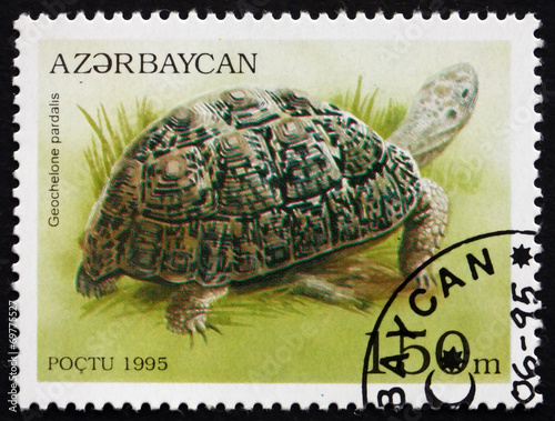 Postage stamp Azerbaijan 1995 Leopard Tortoise