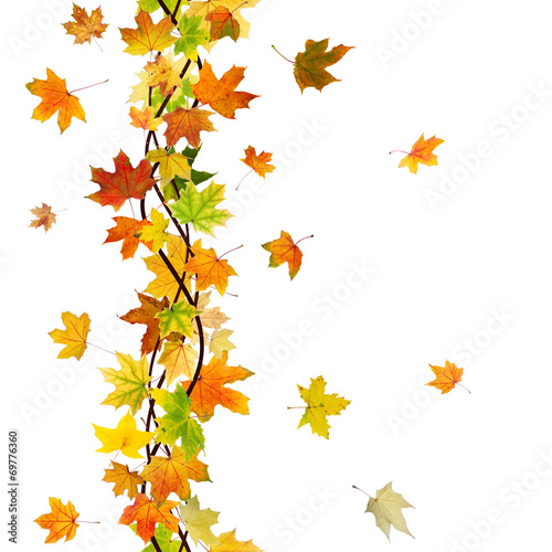 Vertical seamless pattern of branch autumn maple leaves