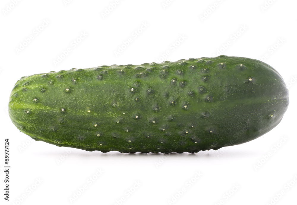 Cucumber vegetable isolated on white background cutout Cucumber vegetable isolated on white background cutout