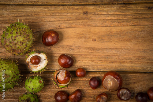 Autumn chestnut  on table