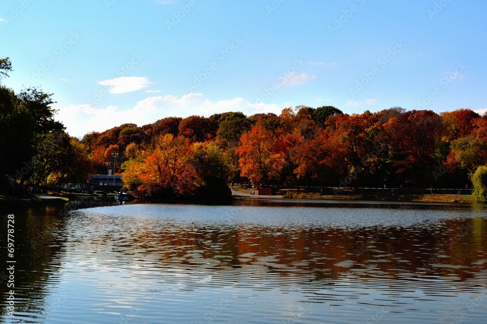 Ocre trees Ocre trees