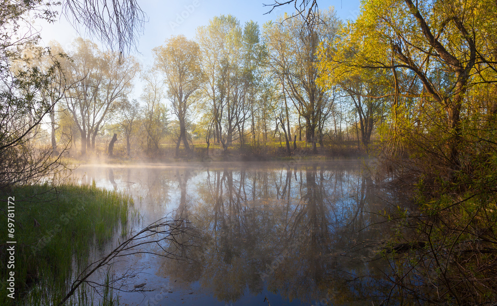 serene misty morning on a lakeside