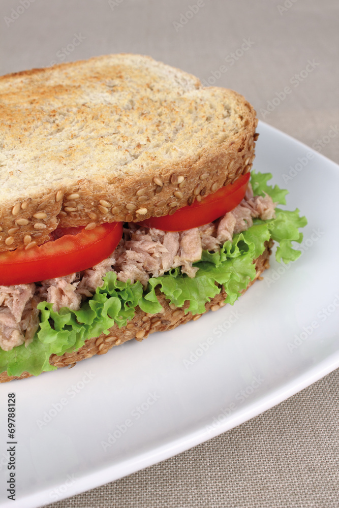 sandwich sandwich