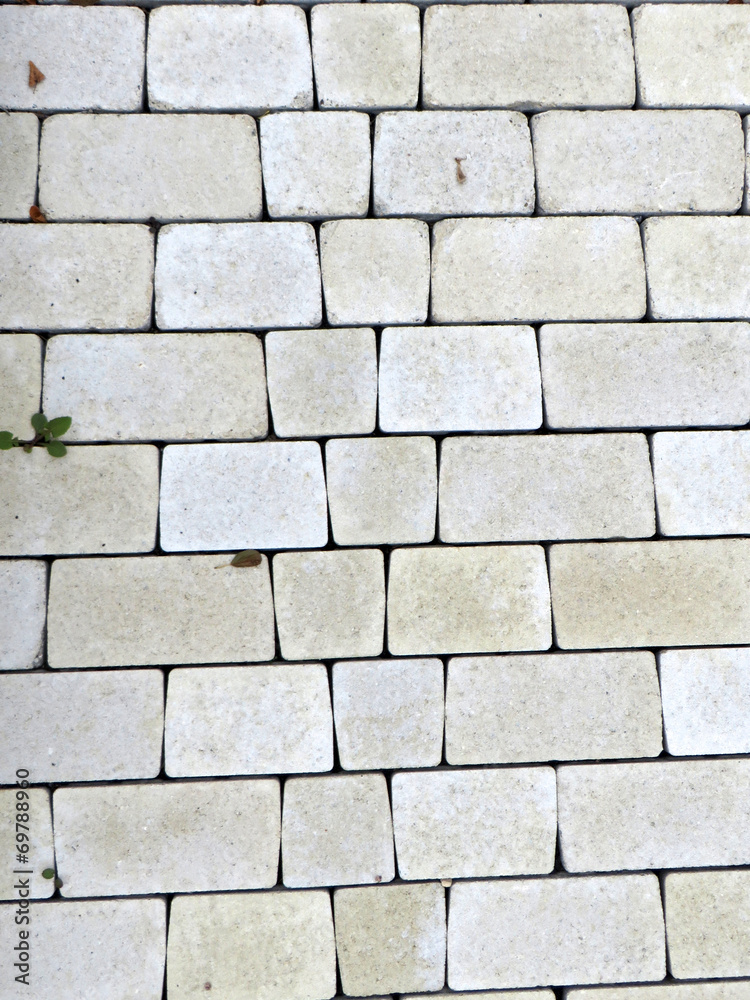 Obraz premium Pflastersteine