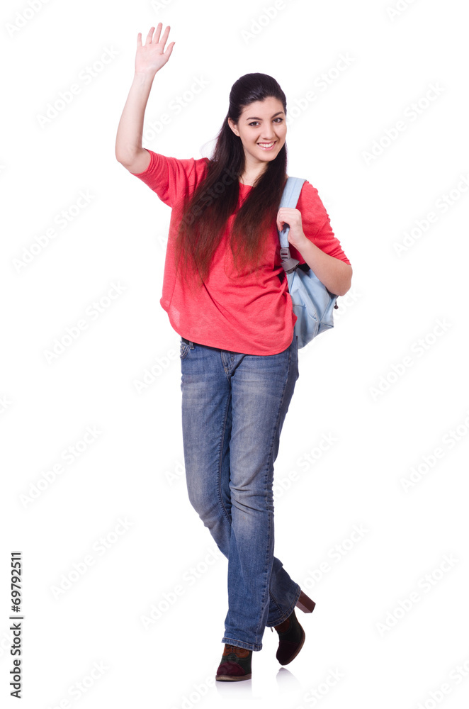 Young female student isolated on the white Young female student isolated on the white