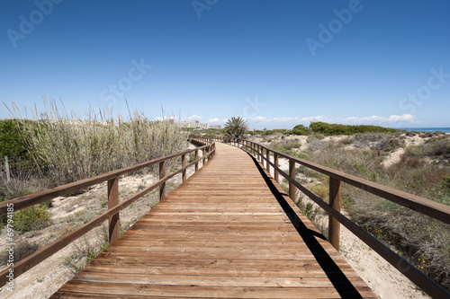 Wooden walkway over dunes