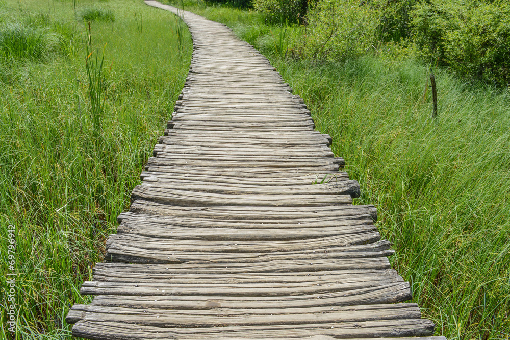 Wooden Hiking Trail