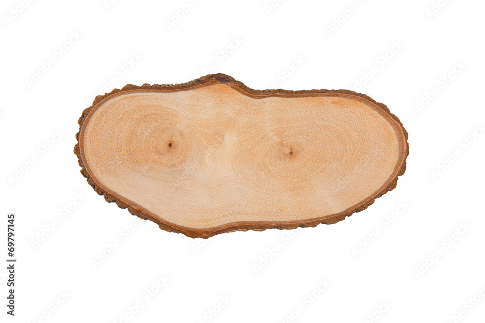 Texture of wood closeup. Object isolated for design Texture of wood closeup. Object isolated for design