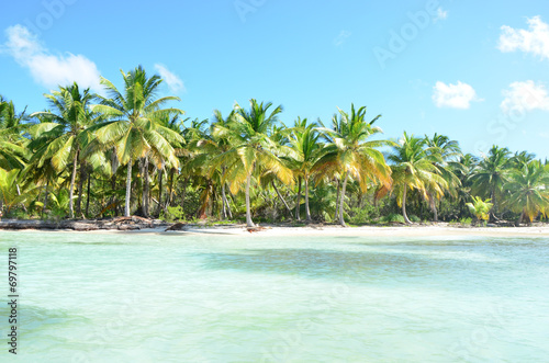 Summer nature scene. Tropical beach with palm trees © Stop war in Ukraine!
