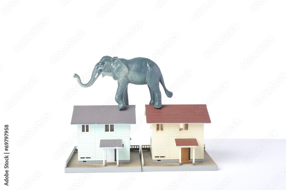 住宅模型と巨大な動物