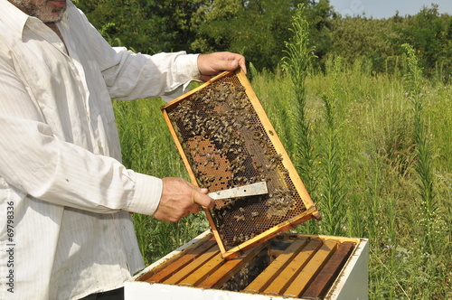 beekeepers in a time of work