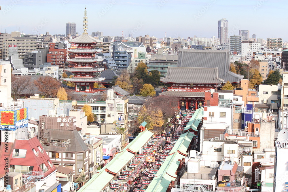 Obraz premium 浅草寺 仲見世通り、宝蔵門と五重塔