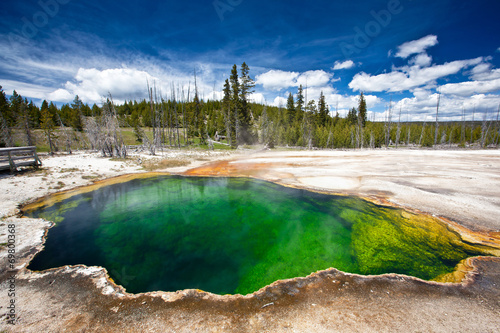 USA - Yellowstone NP photo