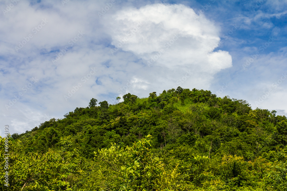 On top of the mountain, which is filled with trees, lush green On top of the mountain, which is filled with trees, lush green