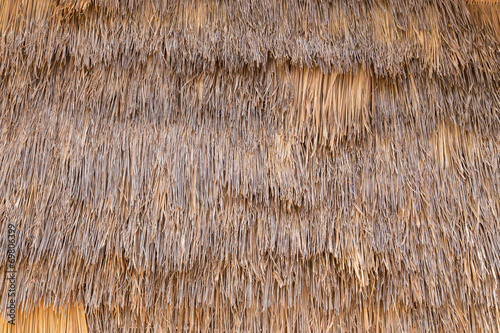 Cuadro en lienzo Straw or Dry Grass Background Surface Texture Pattern