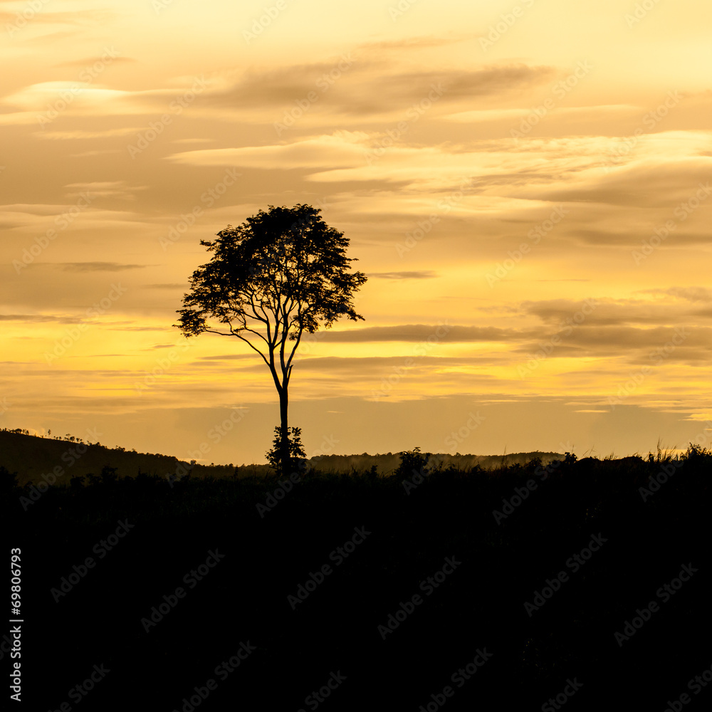 Landscape of sunset with cloudy orange sky and a silhouette of t