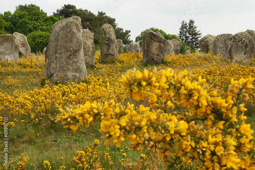 Menhirs à Carnac, Bretagne photo