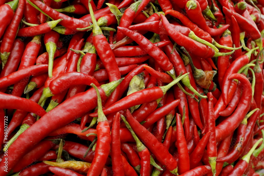 唐辛子　Red pepper