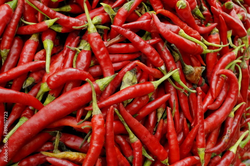 唐辛子 Red pepper