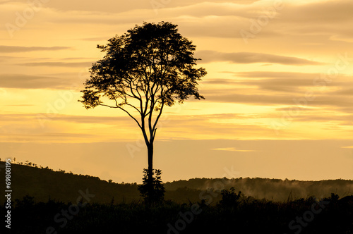 Landscape of sunset with cloudy orange sky and a silhouette of t