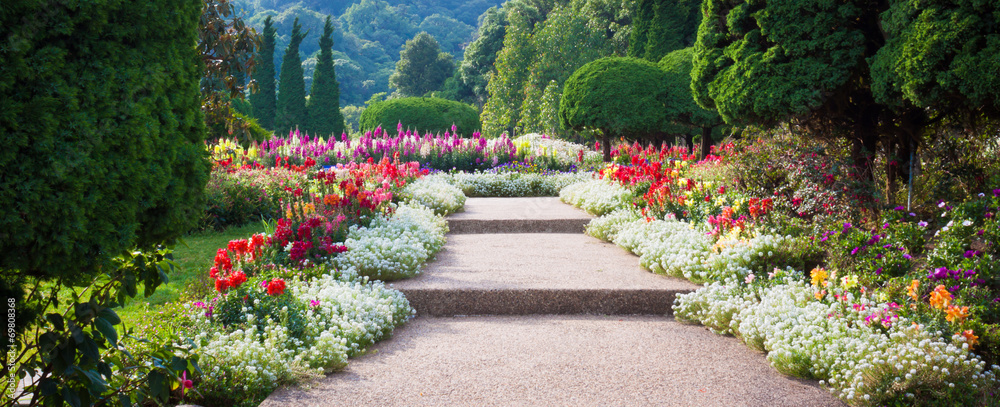 Obraz premium Ogród z kwiatami