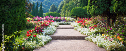 Fototapeta Ogród z kwiatami