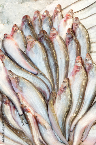 close up many raw fish in market