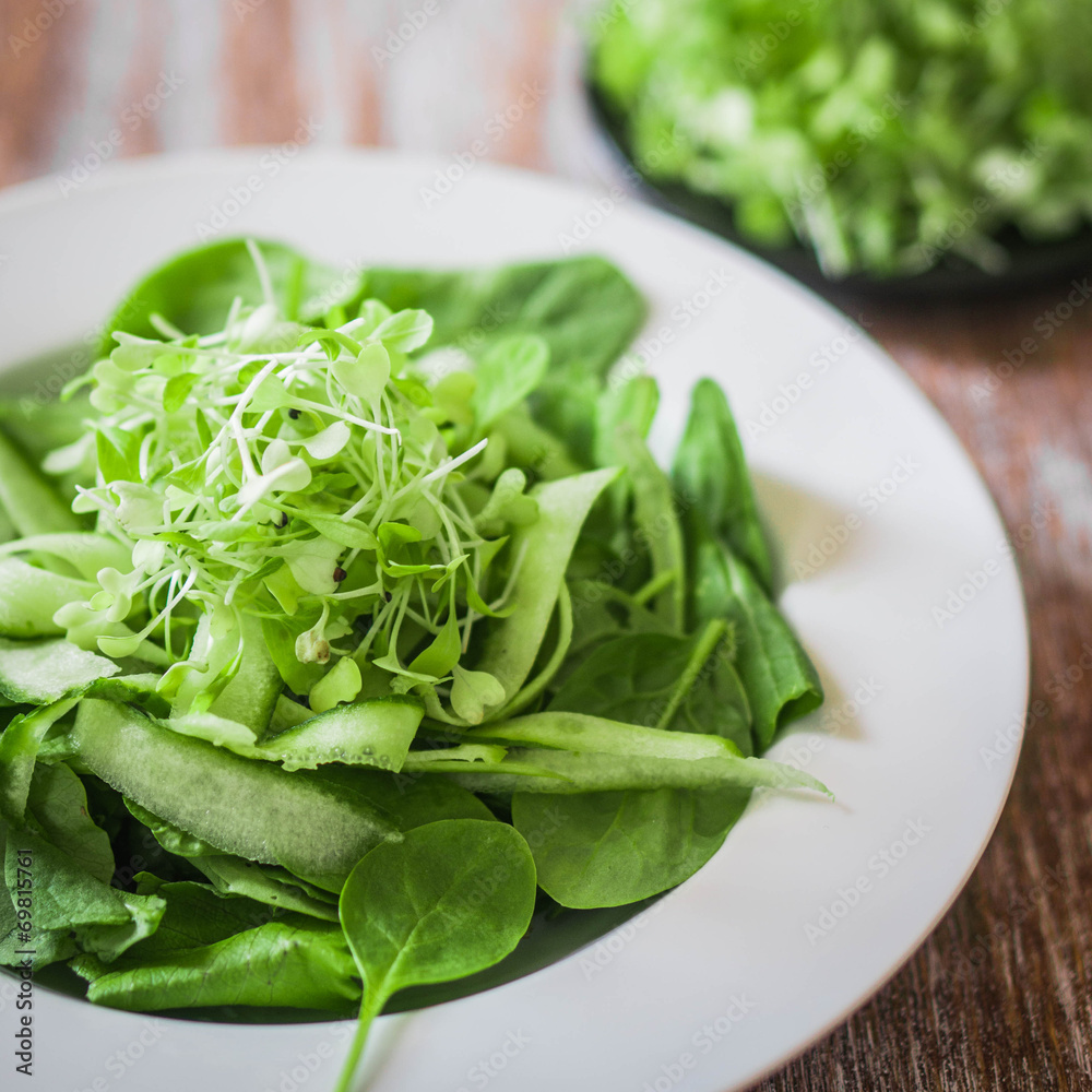 Salas with spinach,cucumber and microgreens on wooden background Salas with spinach,cucumber and microgreens on wooden background