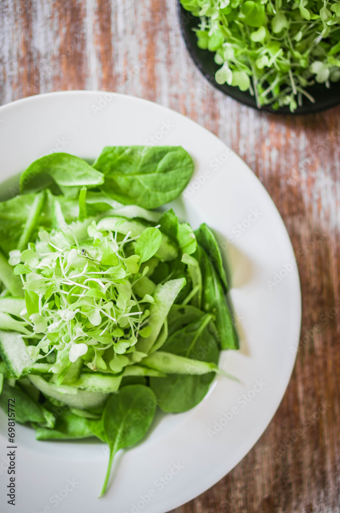 Salas with spinach,cucumber and microgreens on wooden background Salas with spinach,cucumber and microgreens on wooden background