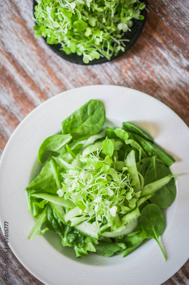 Salas with spinach,cucumber and microgreens on wooden background Salas with spinach,cucumber and microgreens on wooden background