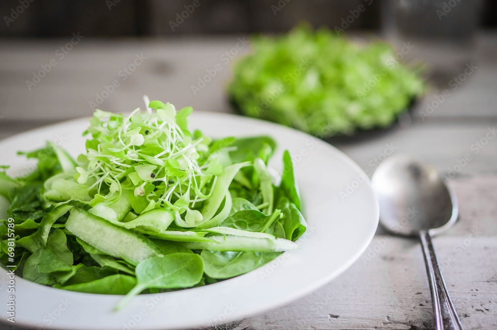 Salad with spinach,cucumber and microgreens on wooden background Salad with spinach,cucumber and microgreens on wooden background