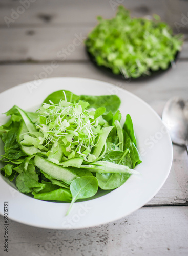 Salas with spinach cucumber and microgreens on wooden background