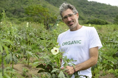 Organic farmer in okra plantation