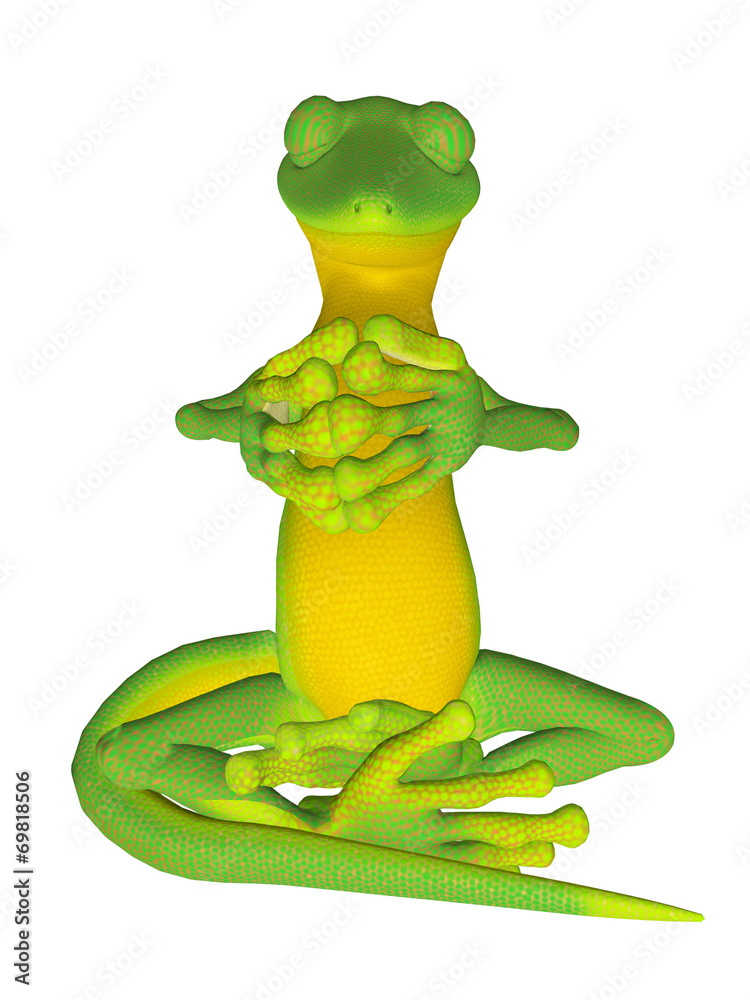 Obraz premium Gecko meditation