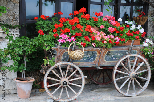 Flowers in the Cart