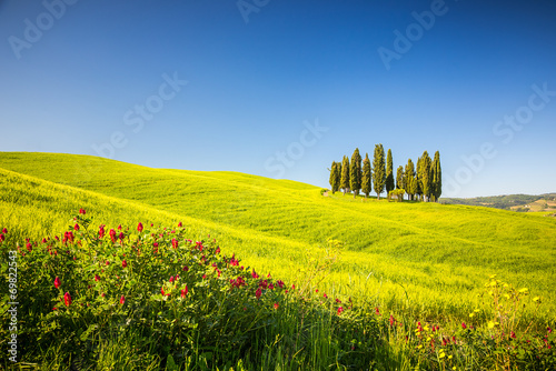 Tuscany at spring