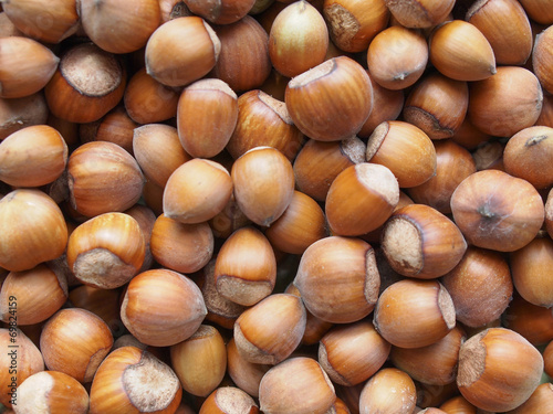 hazelnuts