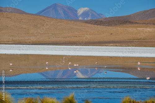 Gorgeous landscapes of Sur Lipez, South Bolivia photo