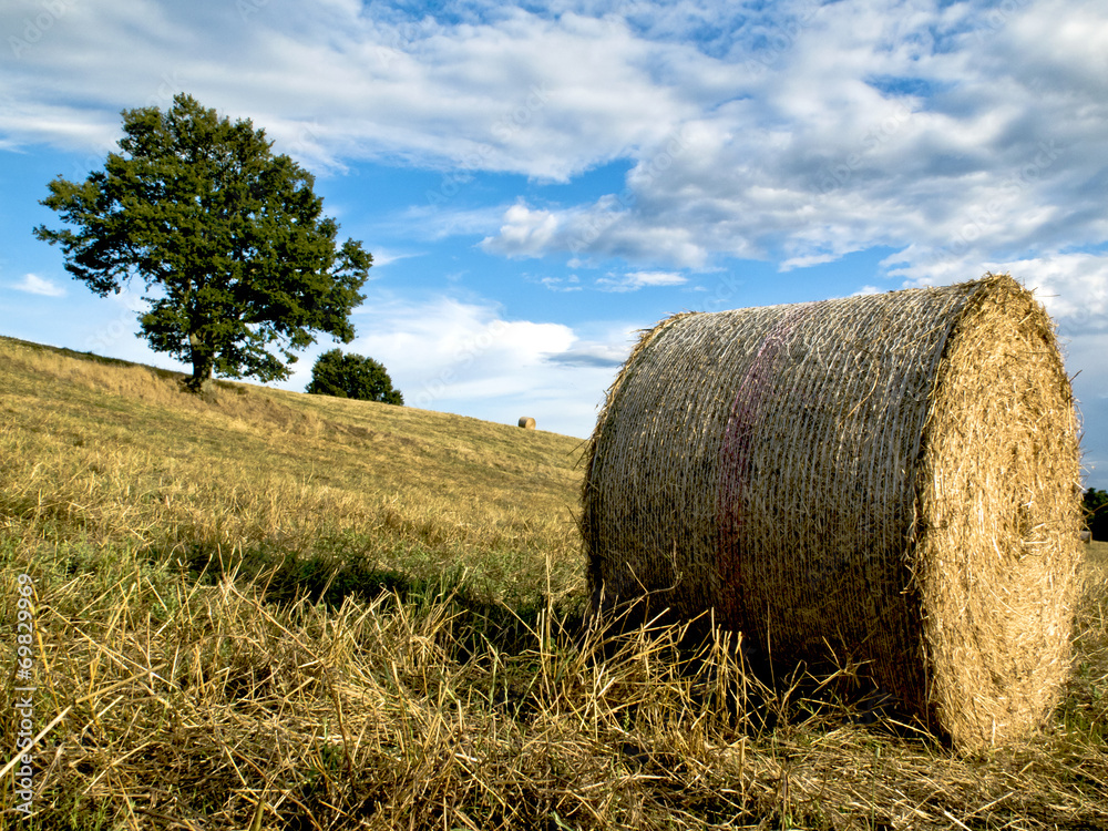 Campagna Campagna