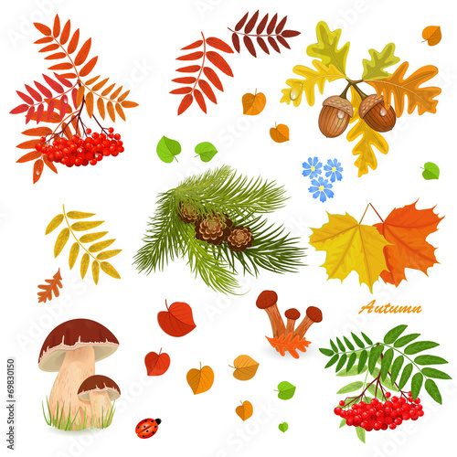 Autumn collection for your design
