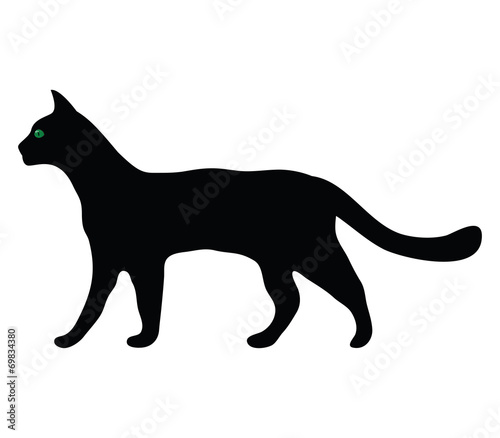 silhouette of a cat