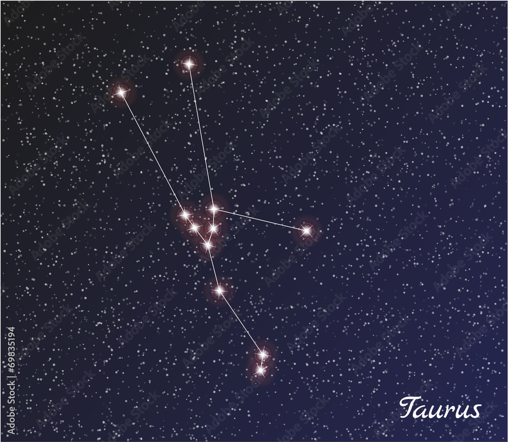 Naklejka premium constellation taurus