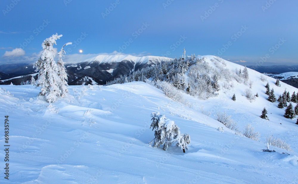Forest mountain at winter, Slovakia