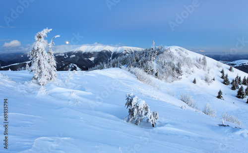 Forest mountain at winter  Slovakia