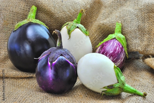 Slika na platnu Varietà di melanzane